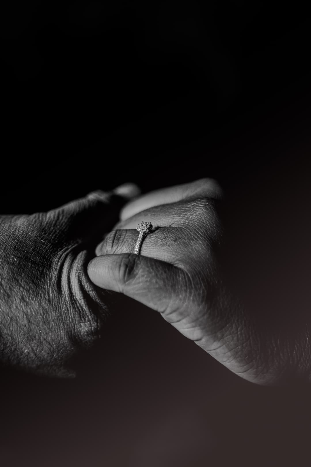 Flower Arch Gallery Image 9